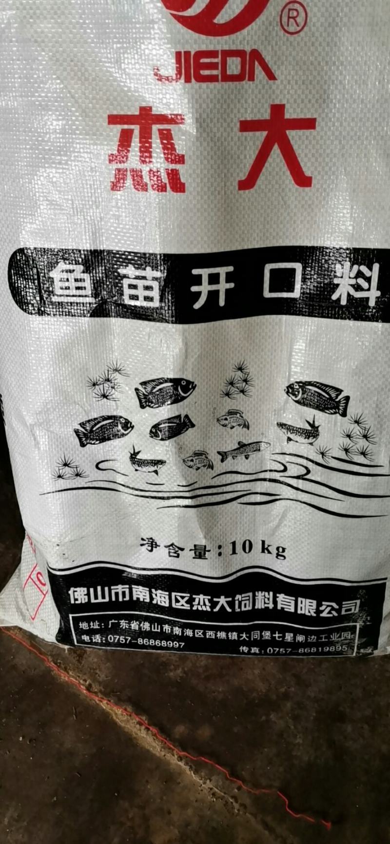 加州鲈鱼苗，鲈鱼苗，已训化养殖，提供养殖技术，包运输包成