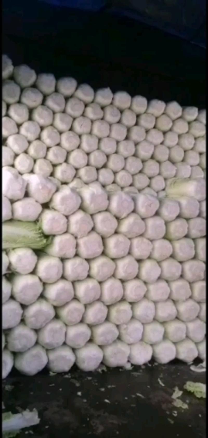 玲珑黄白菜，春绿白菜五一以大量上市，4-6斤
