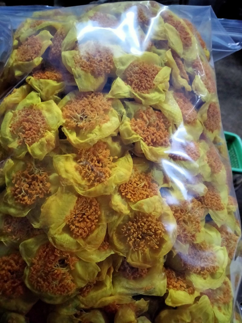 金花茶，防普烘干花来自广西防城港十万山自产
