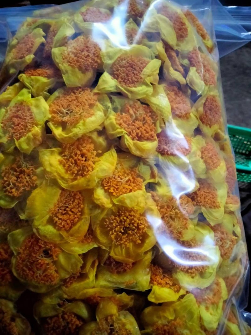 金花茶，防普烘干花来自广西防城港十万山自产