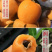 四川攀枝花市米易枇杷