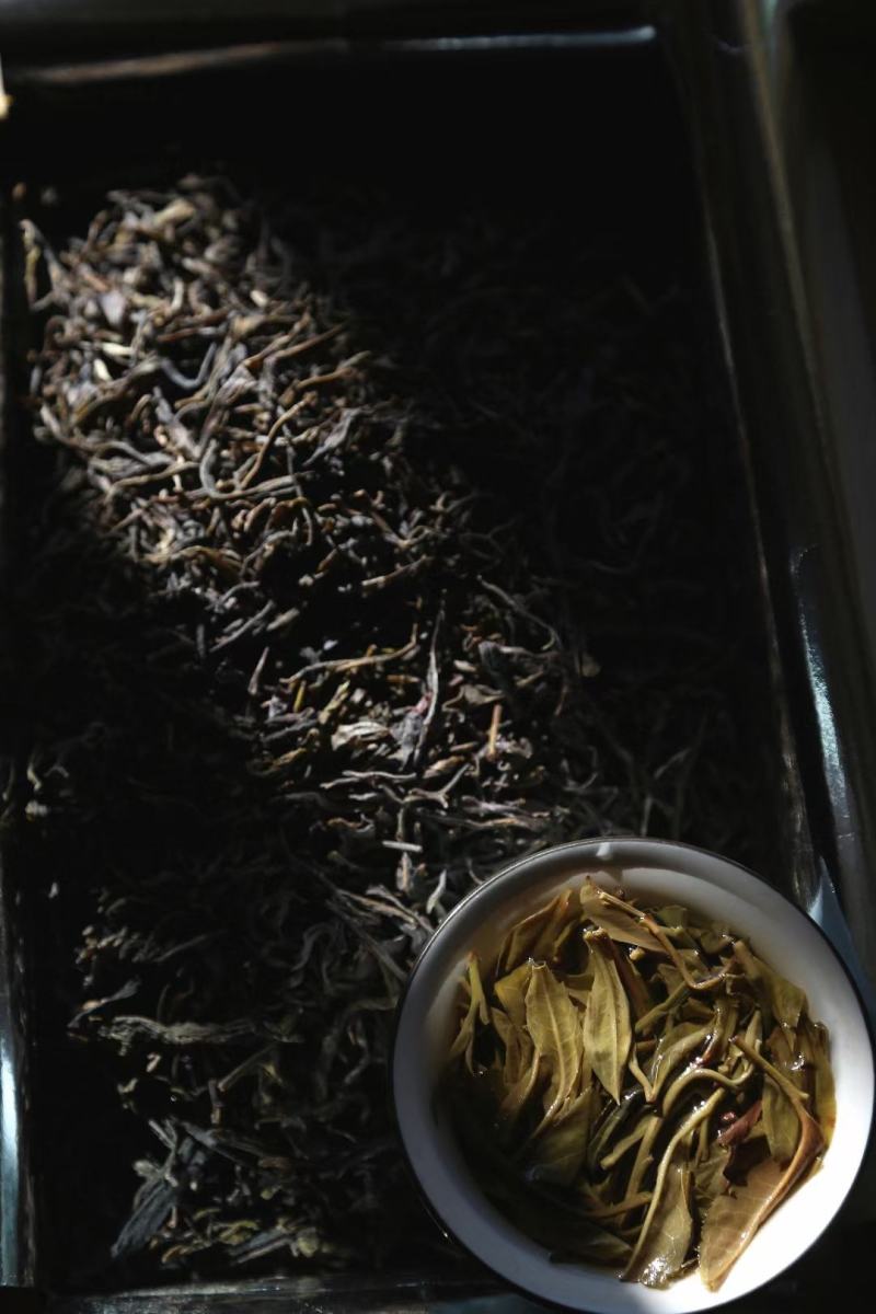 【新茶上市】批发云南易武荒山古树生茶散茶500g/袋