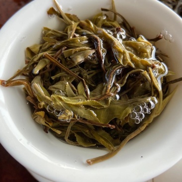 云南西双版纳普洱茶生态茶