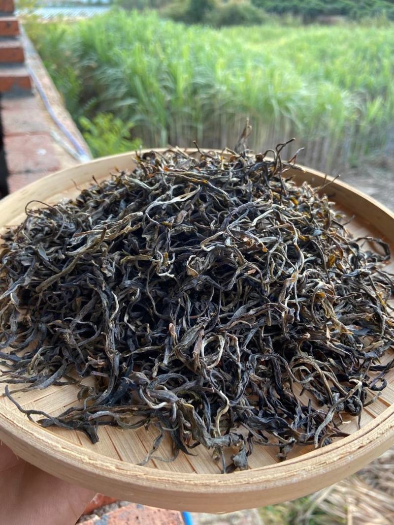 云南西双版纳普洱茶生态茶