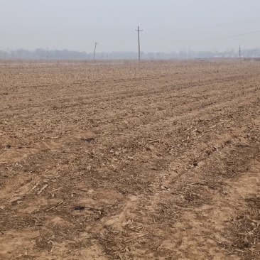 有需要找地租地的联系我