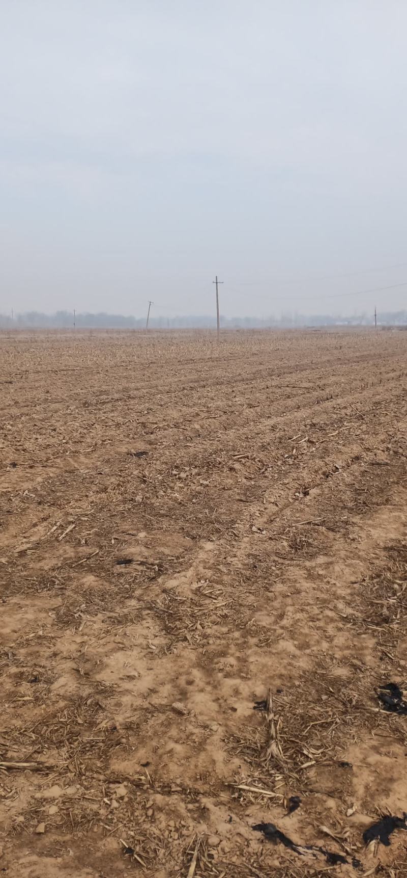 有需要找地租地的联系我