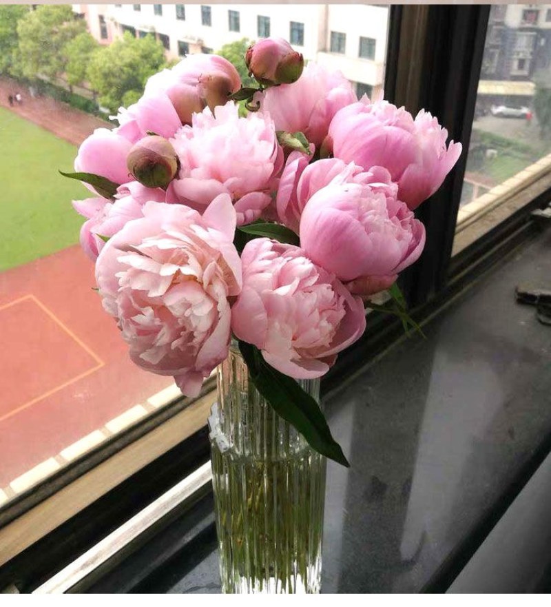 芍花带花苞每棵二十多左右3-5年芍药切花立如芍药坐如牡丹