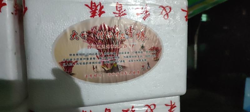 香椿芽四川打包处，提供场地辅料物流等看清楚不是卖香椿芽