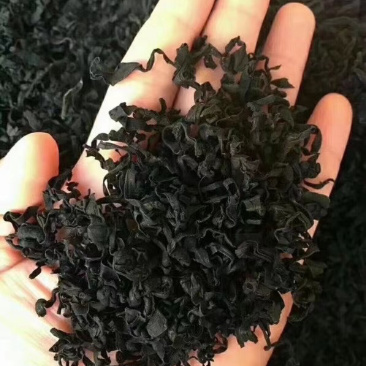 裙带菜螺旋藻属海藻类植物，含丰富维生素食物纤维