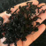裙带菜螺旋藻属海藻类植物，含丰富维生素食物纤维