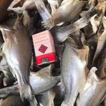 【深海鲈鱼干】鲈鱼肉质鲜美可口，可以清蒸也可以红烧味道