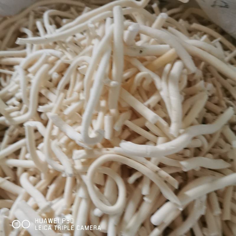 小通草四川通草包邮发货纯净货一手货源可常年供应