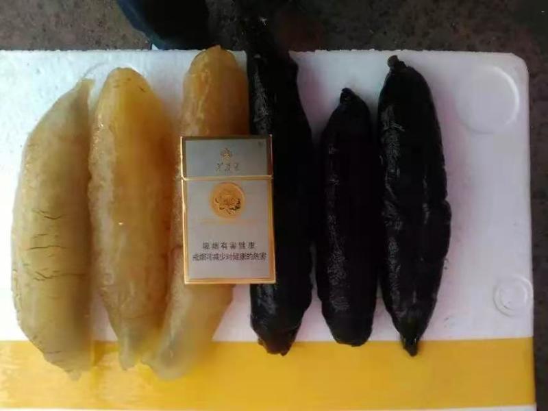 海参泡发好即食海参