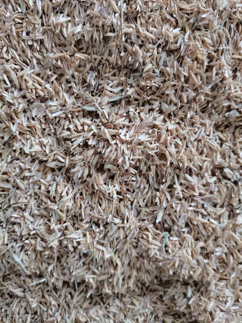 新鲜干净无杂质压缩稻壳