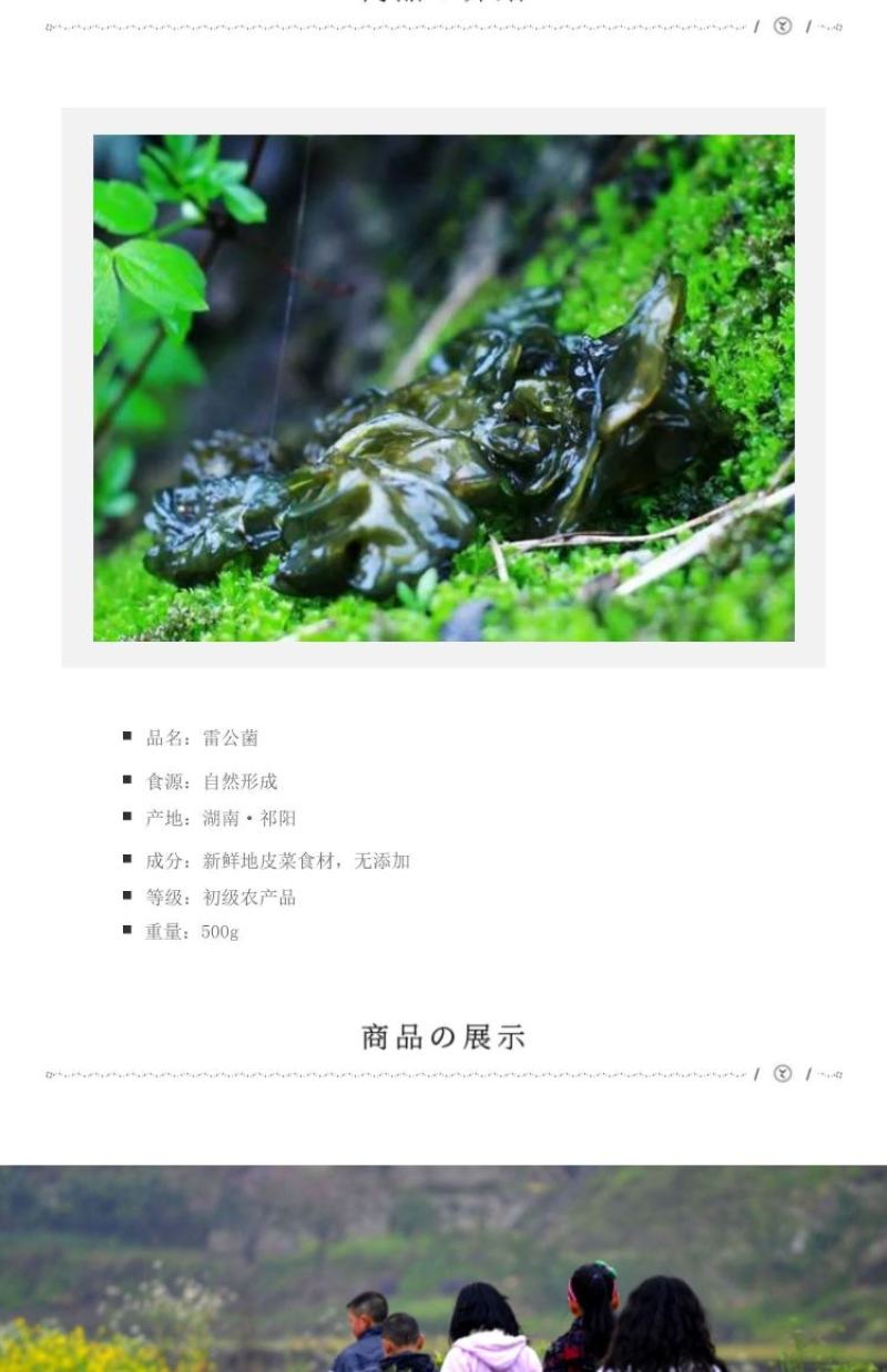 地皮菜新鲜现采现卖野菜地达菜地软雷公菌天仙菜雷公屎地耳木