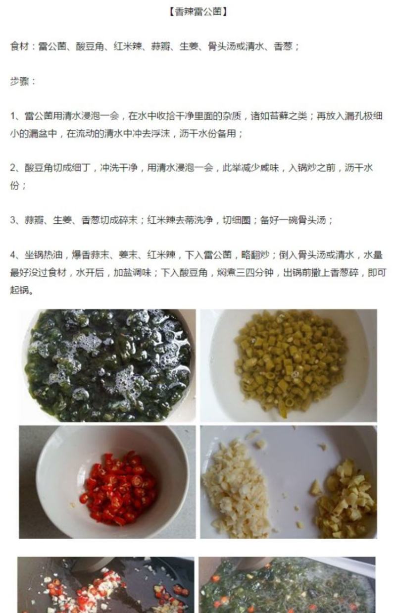 地皮菜新鲜现采现卖野菜地达菜地软雷公菌天仙菜雷公屎地耳木