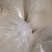 益生菌发酵豆腐渣添:玉米粉，饼干粉，米糠，麦糠制作而成