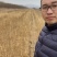 皂角小苗皂角播种苗工程苗当年苗产地直发