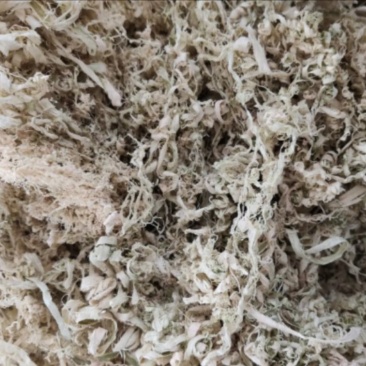 竹茹丝常年批发供应各种规格竹茹丝中药材量大从优