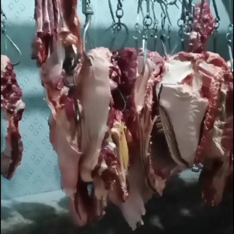 鲜驴肉批发，养殖基地，一手货源，现杀现宰，纯干无注水鲜驴