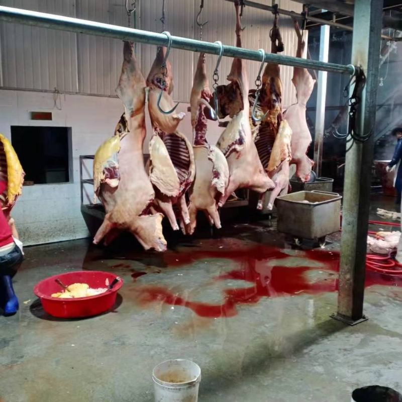 鲜驴肉批发，养殖基地，一手货源，现杀现宰，纯干无注水鲜驴