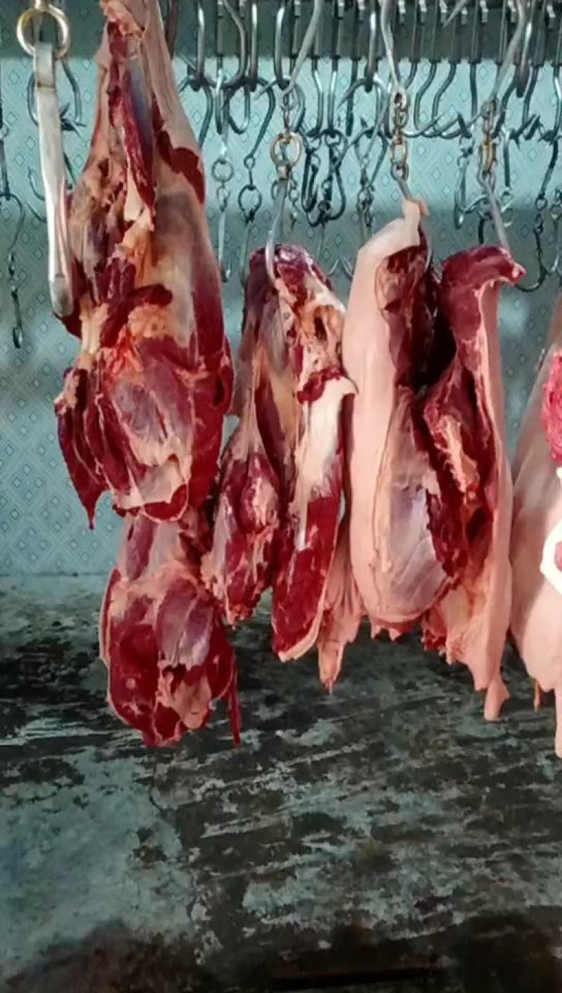 鲜驴肉批发，养殖基地，一手货源，现杀现宰，纯干无注水鲜驴