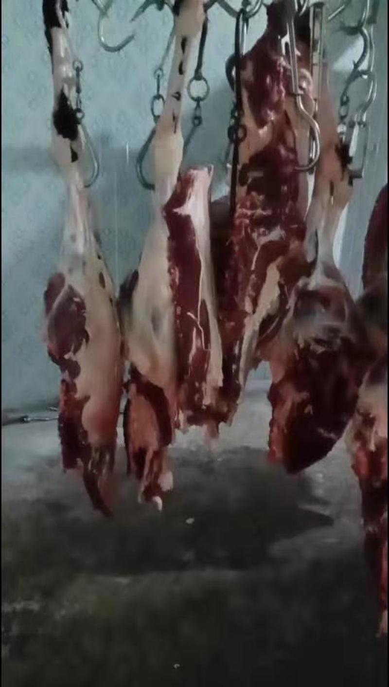 鲜驴肉批发，养殖基地，一手货源，现杀现宰，纯干无注水鲜驴