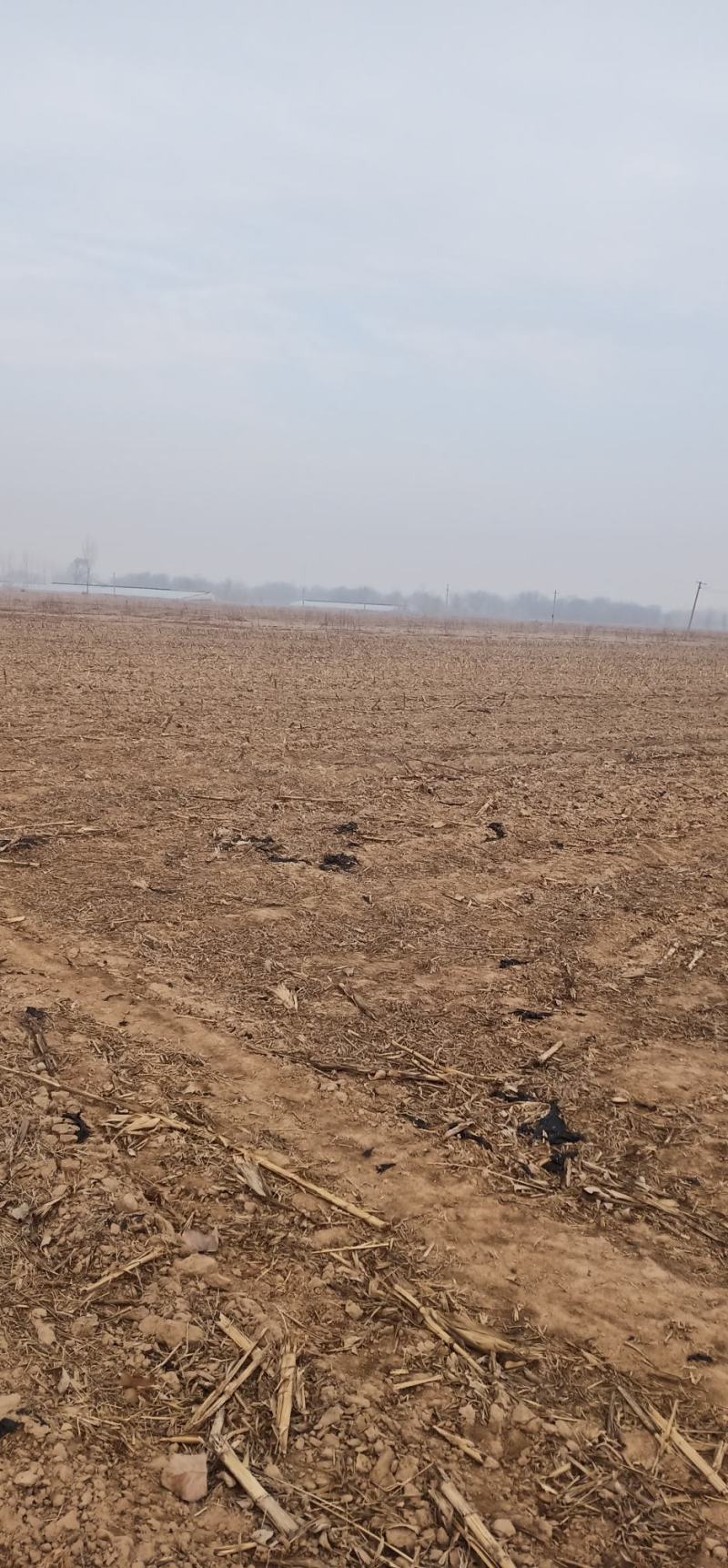 土地流转，需要，租地找地种的联系