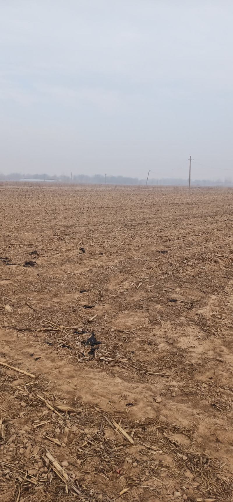 土地流转，需要，租地找地种的联系