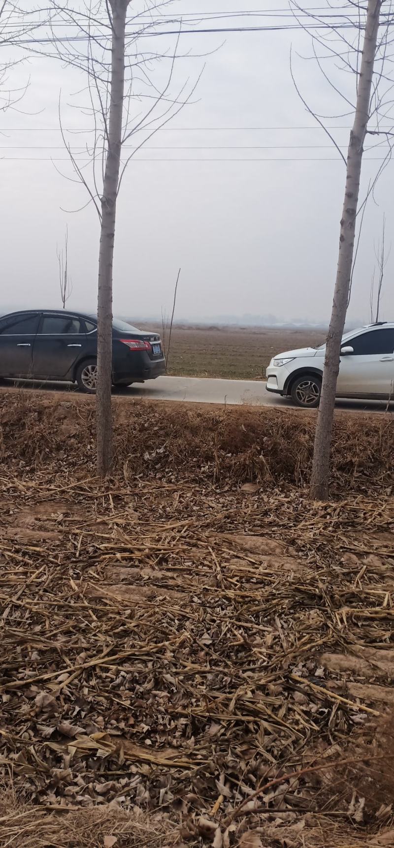 土地流转，需要，租地找地种的联系