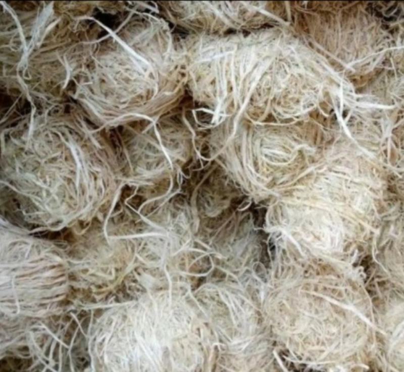 竹茹球常年批发供应各种规格竹茹球中药材量大从优