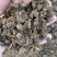 纯羊粪鸟粪鸡粪牛粪有机肥发酵牛粪有机肥绿化有机肥牛粪肥料