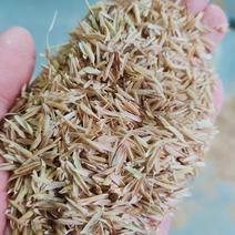 散装谷壳，米壳，稻壳，压缩谷壳，适用于鸡鸭鹅猪养殖场