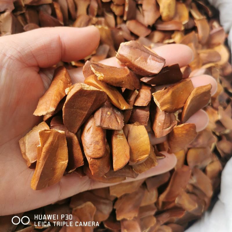 向天果当年新货仁白包邮发货产地直发常年大量供应