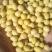 美湾大豆集装箱品质袋装毛粮散装支持汽运海运火运