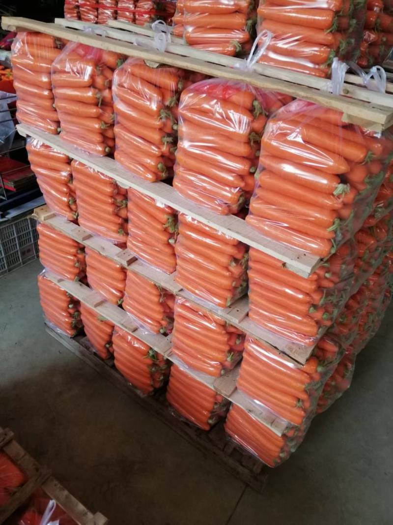 精品水洗胡萝卜，三红316。电商货，泥货商超品质大量有
