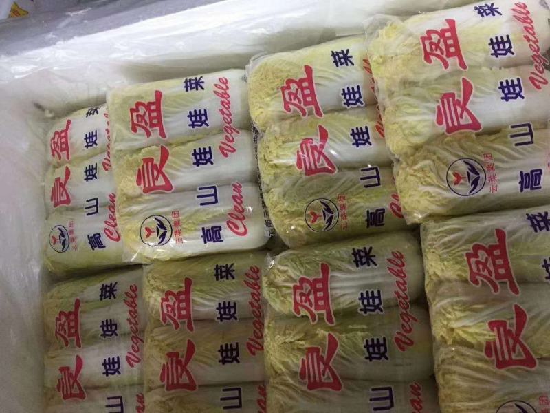 娃娃菜大娃小娃