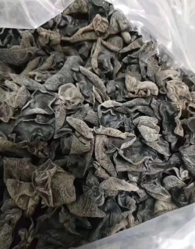 东北特级小黑木耳，1.2无碎渣，干度好一手货源