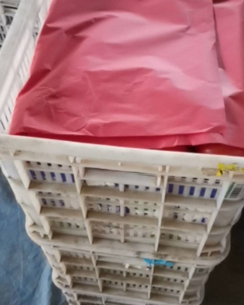 山东菏泽定陶精品西红柿，货源充足，保质保量，颜色全红。