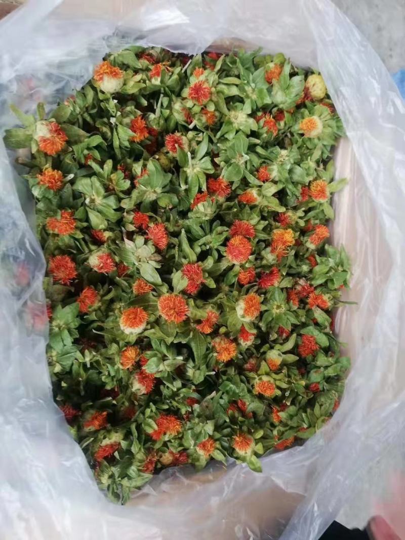 批发藏红花跑江湖地摊展会一手货源