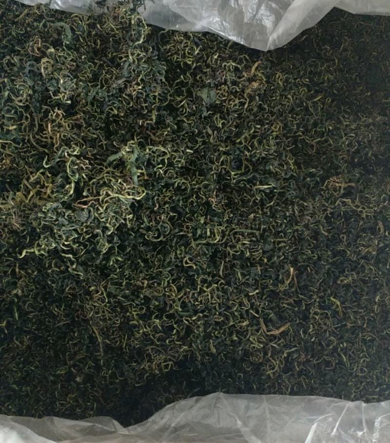 振兴药材批发供应蒲公茶保质保量常年供应诚信合作薄利