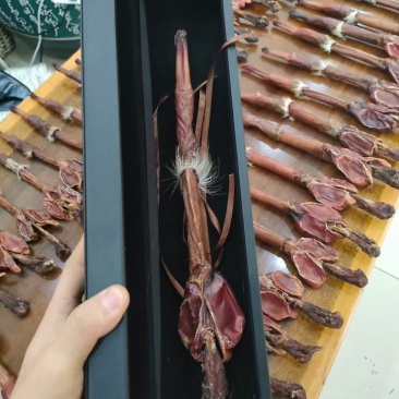 人参批发市场，原产地鹿鞭保证品质诚信经营