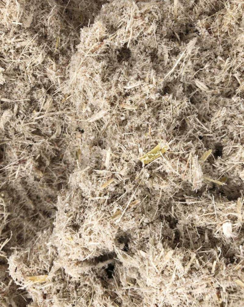 （基地直供）甘蔗渣食用菌栽培基质蘑菇基料有机肥辅料