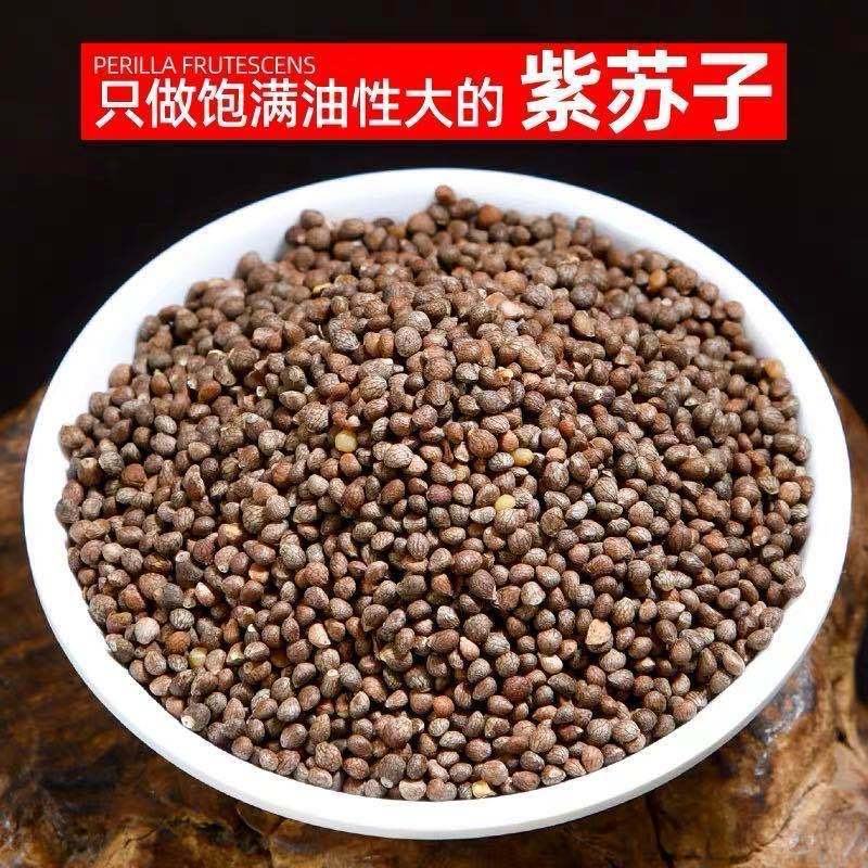 紫苏籽紫苏子籽食生紫苏籽用非熟粒粒饱满免费打粉中