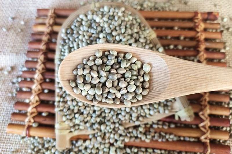 大颗粒火麻仁子鸟粮粮鸽粮饲料烧烤料调味品调味料卤肉料调料