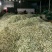梨花粉供应/冠县梨花产区/欢迎广大客商前来收购加工
