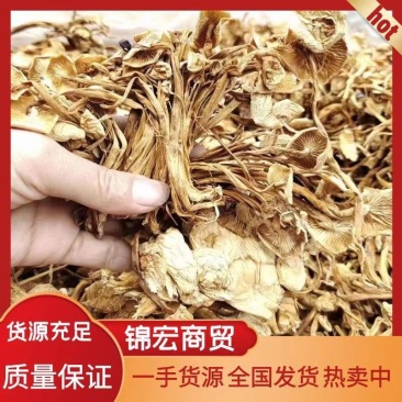 茶树菇/金针菇，菌类佳品，2021年的新货，需要老板联系