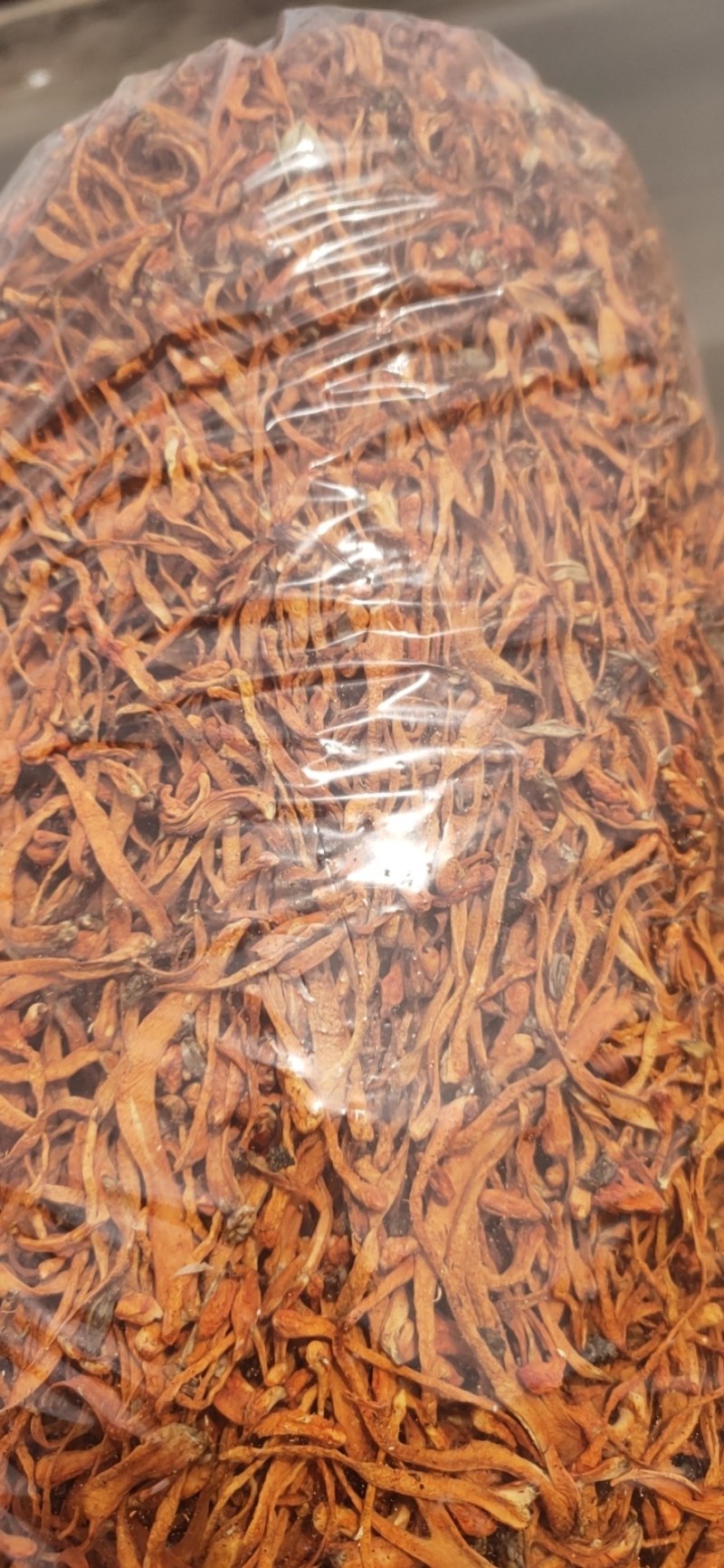 虫草花产地优势货源各品质各价位大货供应散草排草卷草