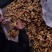 生姜，商超供货，颜色漂亮，片大，质量好，运输一条龙服务