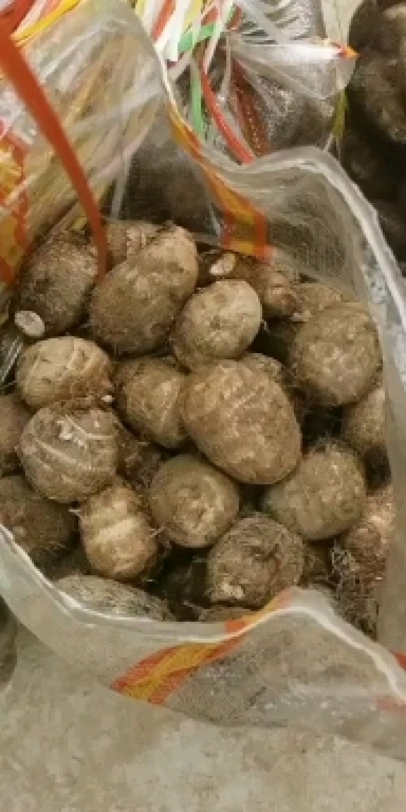 水芋头，毛芋头，芋头种，各种规格购销，基地大量供应。